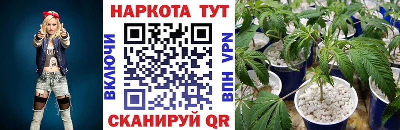 Купить Белая Калитва Кокаин Гашиш Марихуана