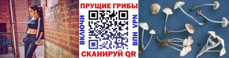 Галлюциногенные грибы мухоморы  Белая Калитва 